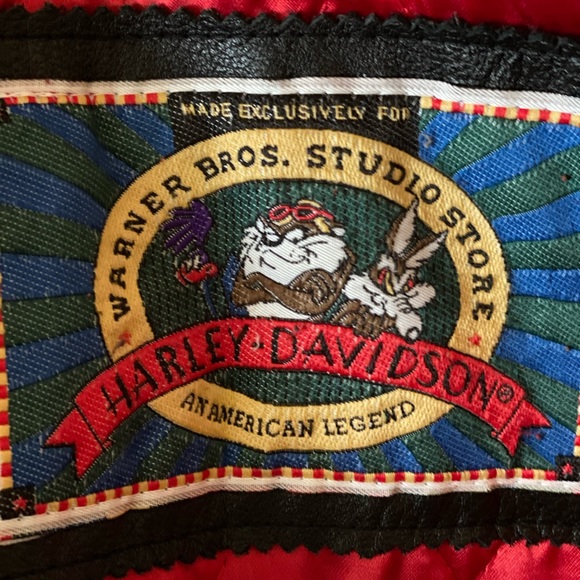 Vintage Harley Davidson Jacket! Collector Piece - Picture 5 of 14